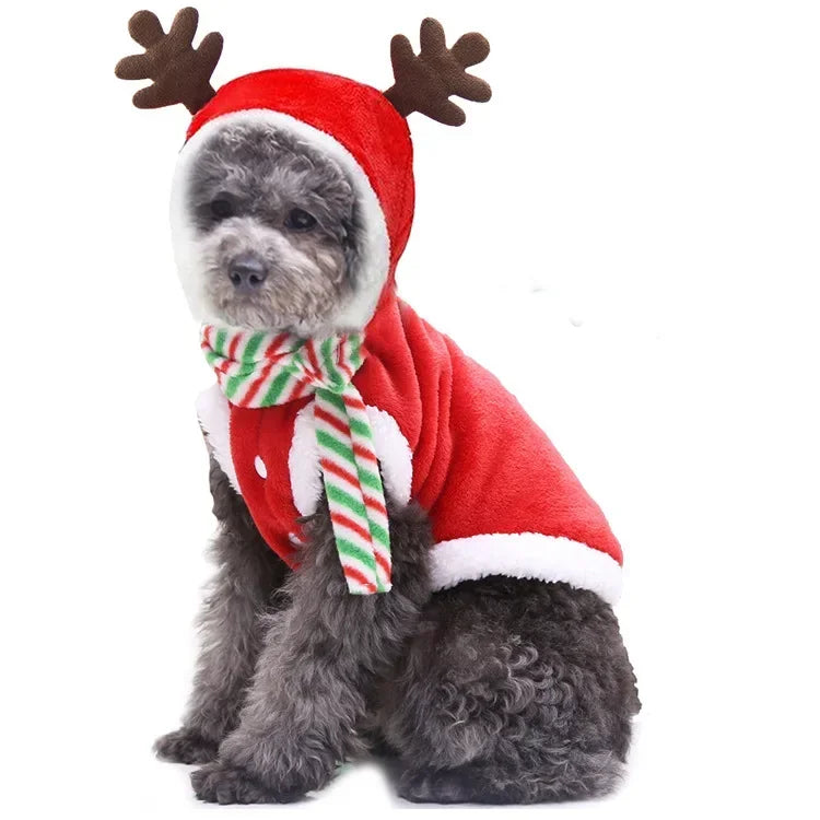 Roupa de rena para cães