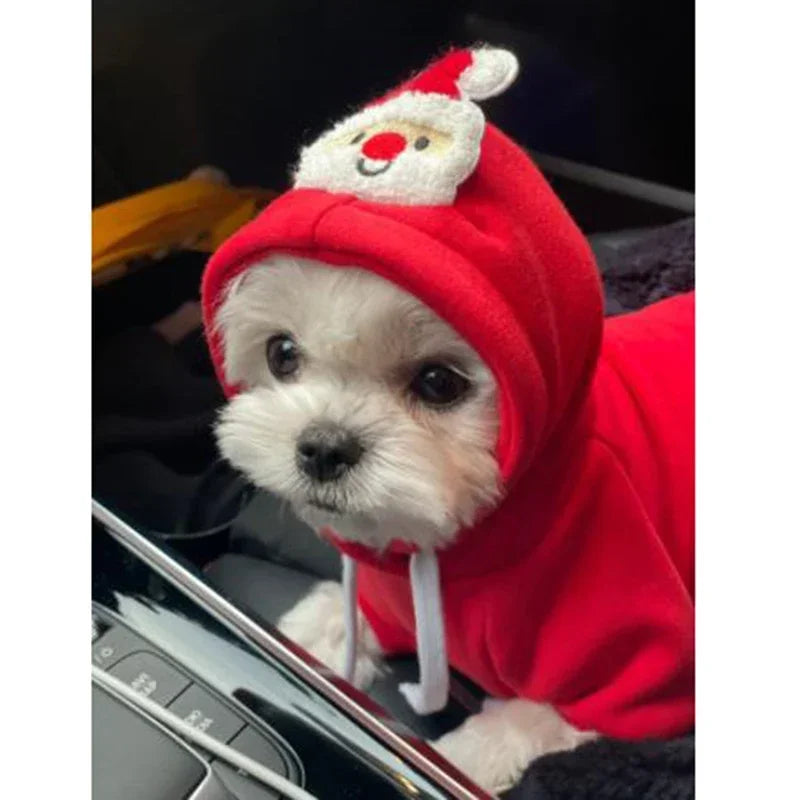 Roupa de rena para cães