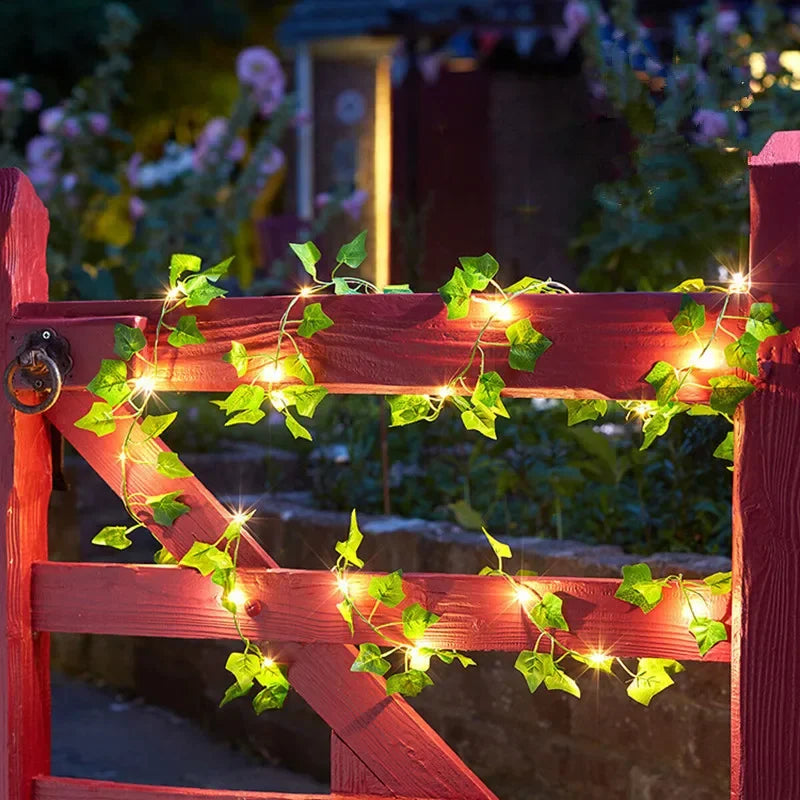 Luzes Decorativas