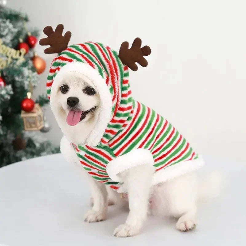 Roupa de rena para cães